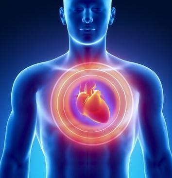 1730253463143298.jpg 20180824124131166.jpg